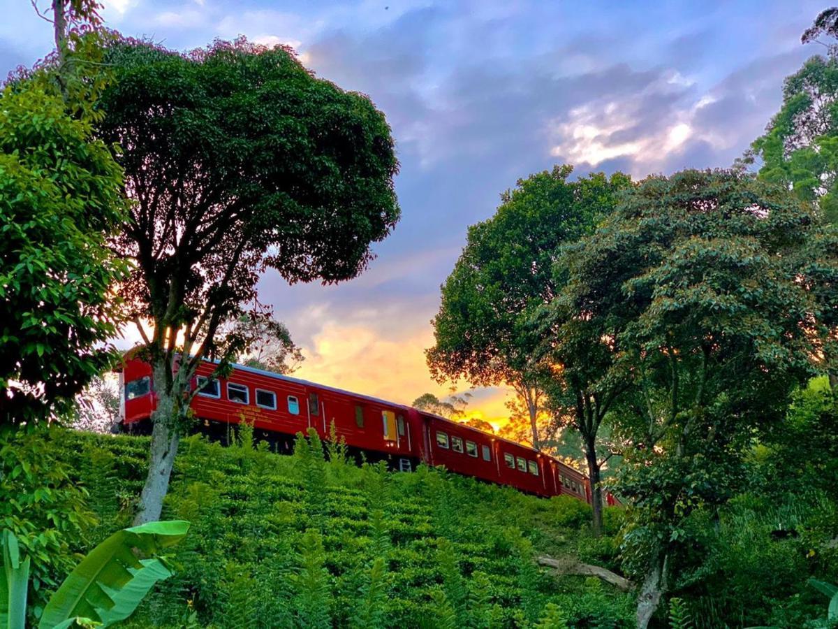 Hotel Train View Chalet Bandarawela Exteriér fotografie