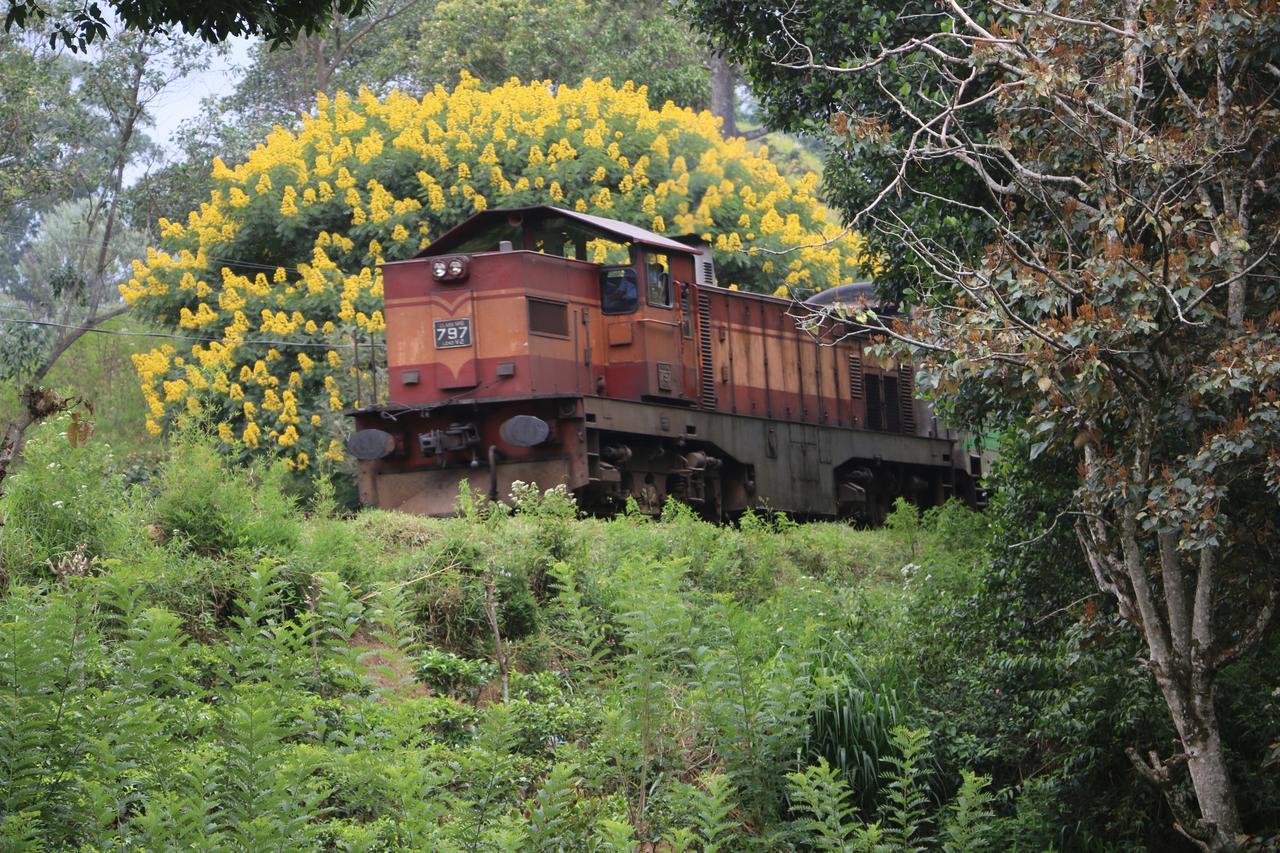 Hotel Train View Chalet Bandarawela Exteriér fotografie