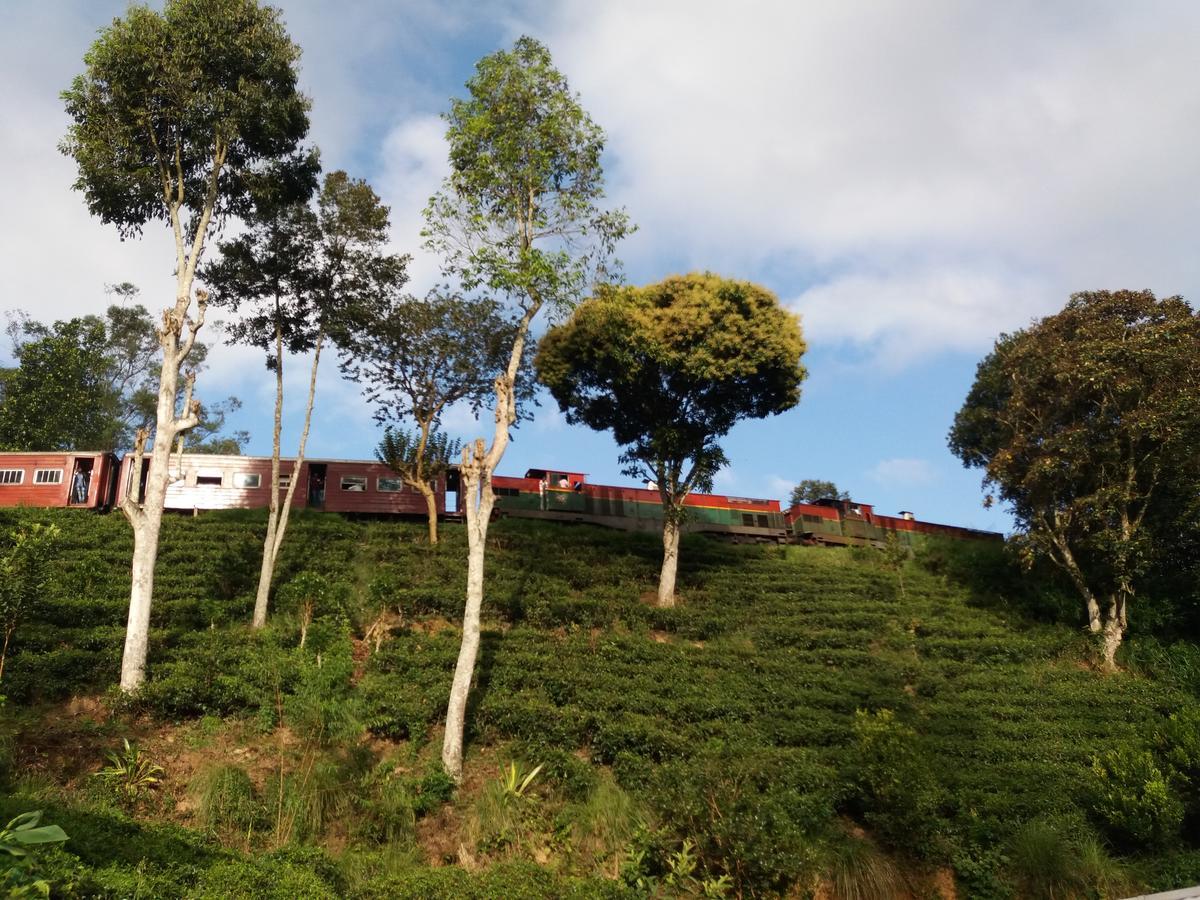 Hotel Train View Chalet Bandarawela Exteriér fotografie