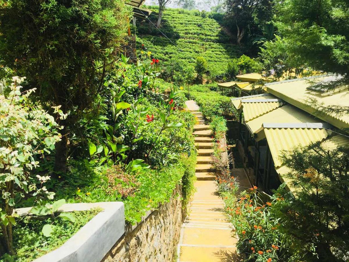 Hotel Train View Chalet Bandarawela Exteriér fotografie